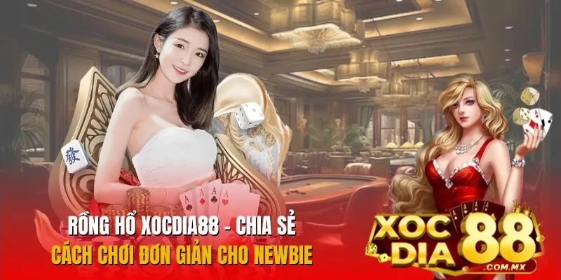 Rồng Hổ Xocdia88 - Chia Sẻ Cách Chơi Đơn Giản Cho Newbie
