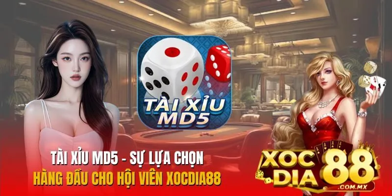 Tài Xỉu MD5 – Sự Lựa Chọn Hàng Đầu Cho Hội Viên Xocdia88